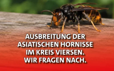 Anfrage zur Verbreitung der Asiatischen Hornisse